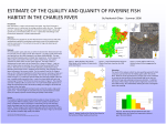 Estimate of the Quality and Quantity of Riverrine Fish Habitat in the