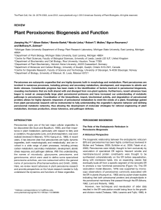 Plant Peroxisomes: Biogenesis and Function