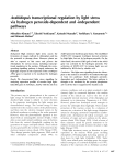 Arabidopsis transcriptional regulation by light stress via hydrogen