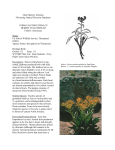 -State Species Abstract- -Wyoming Natural Diversity Database