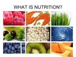 what is nutrition? - Malibu High School