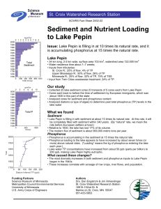 Sediment and Nutrient Loading to Lake Pepin