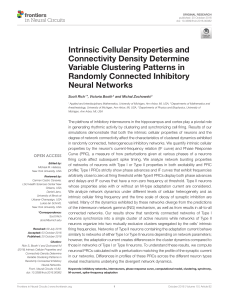 Intrinsic Cellular Properties and Connectivity Density Determine