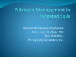 Nitrogen Management in Irrigated Crops
