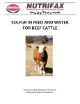 sulfur in feed and water for beef cattle