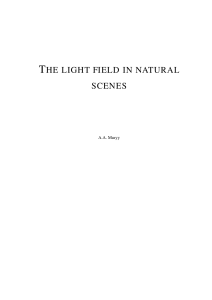 THE LIGHT FIELD IN NATURAL SCENES