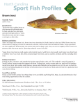 Sport Fish Profiles - North Carolina Wildlife Resources Commission