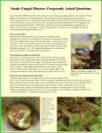 Snake Fungal Disease