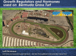 Growth Regulators and Hormones used on Bermuda Grass Turf