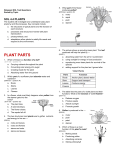 plant parts