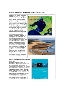 Habitat Mapping at Ricketts Point Marine Sanctaury