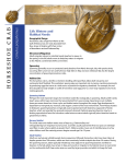 Horseshoe Crab Habitat Factsheet - Atlantic States Marine Fisheries