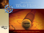 Whale Hunting Roles