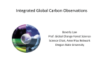 Integrated Global Carbon Observations