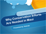 Maui - KAKNAB