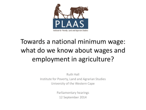 Towards a national minimum wage: What do we know about wages