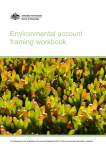 Environmental Account Framing Workbook