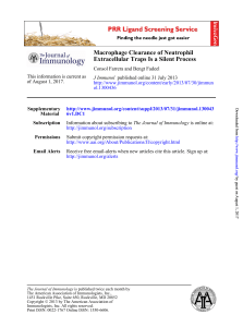 Extracellular Traps Is a Silent Process Macrophage Clearance of