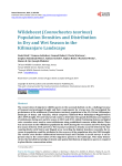 Wildebeest - Scientific Research Publishing
