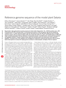 Reference genome sequence of the model plant Setaria