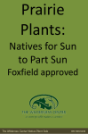 Prairie Plants - Foxfield Preserve