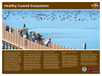 Healthy Coastal Ecosystems