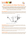 Water Plants How-To.pub