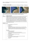 5. Mudflats and Sandflats - Natural Resources South Australia