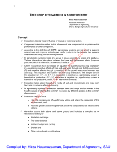 tree crop interactions in agroforestry