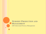 Nursery Production and Management
