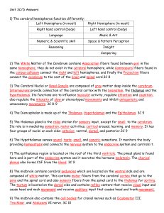 3C/D Worksheet KEY