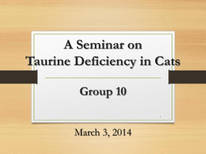 Taurine Deficiency in Cats