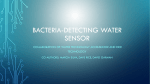 Bacteria-Detecting Water Sensor