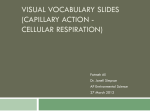 Visual Vocabulary Slides (Capillary action - APES-Fall-2011