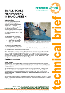 small-scale fish farming in bangladesh