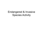 Invasive and Endangered Species Bingo