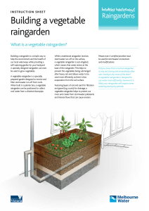Building a vegetable raingarden