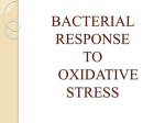 bacterial response ppt