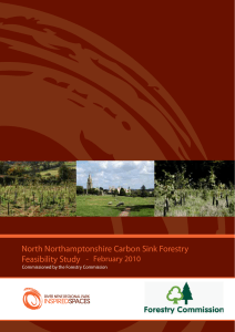 North Northamptonshire Carbon Sink Forestry Feasibility Study
