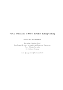 Visual estimation of travel distance during walking