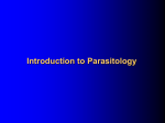 Human parasitology