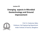 Emerging aspects in Microbial Geotechnology and Ground