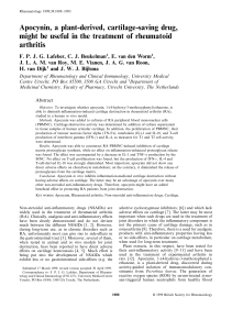 Apocynin, a plant-derived, cartilage-saving drug, might be useful in