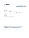 Effect of Plant-Derived Molecules on Acinetobacter baumannii