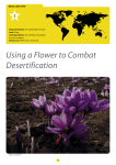 Revised Short Version: Using a Flower to Combat Desertification