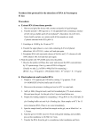 Northern blot protocol for the detection of RNA in Neurospora Yi Liu