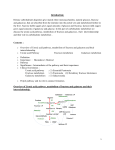 Introduction: Dietary carbohydrates digestion give mainly