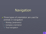 7. Navigation - GEOCITIES.ws