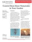 Control Root-Knot Nematodes in Your Garden