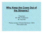 Why Keep the Cows Out of the Streams?
